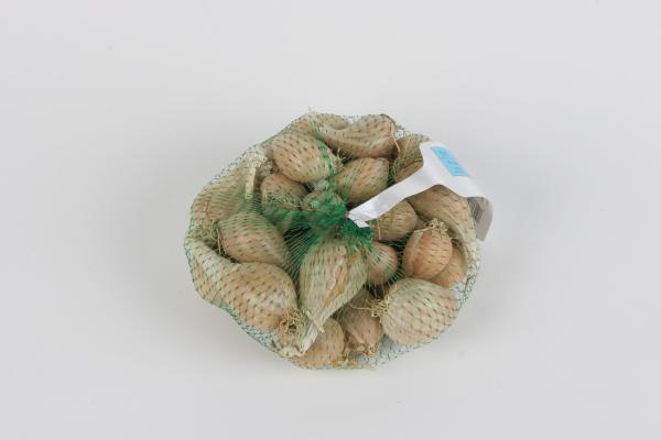 Bulbes potagers - Echalote Griselle - 500 g  - face recto